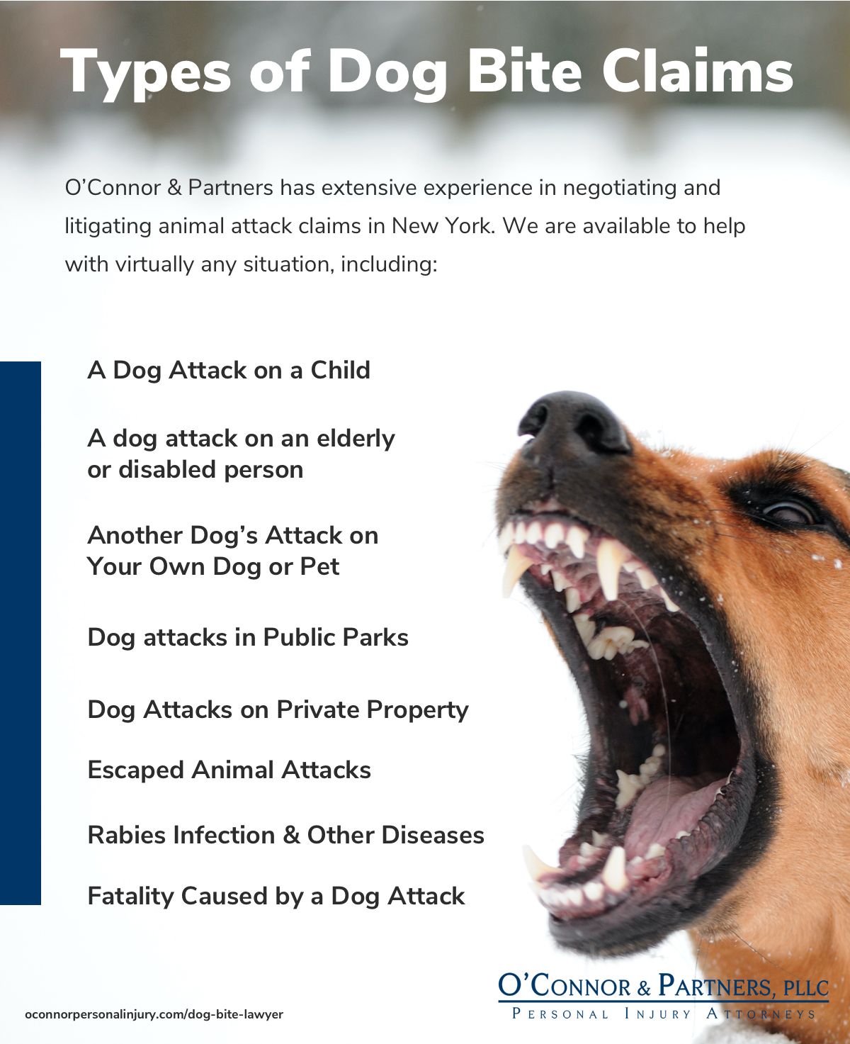 Dog Bite Lawyers In New York O Connor Partners PLLC dog-bite-lawyers-in-new-york-o-connor-partners-pllc