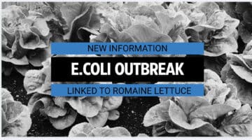 Romaine Lettuce E. coli Outbreak Sickens Dozens: What You Need to Know If You Were Affected